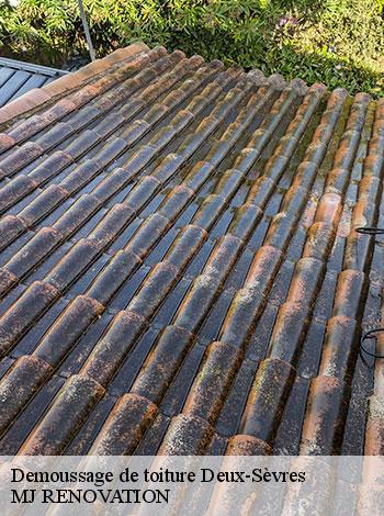 4554669-demoussage-de-toiture-mj-renovation-4