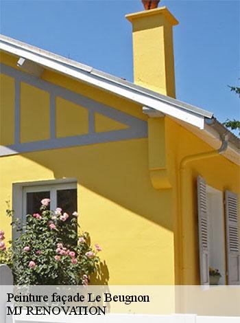 4555819-peinture-facade-mj-renovation-4