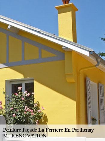 4555903-peinture-facade-mj-renovation-4