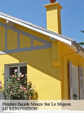 4555953-peinture-facade-mj-renovation-4