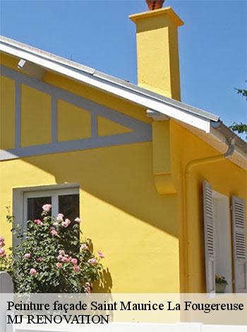 4556060-peinture-facade-mj-renovation-4