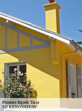 4556100-peinture-facade-mj-renovation-4