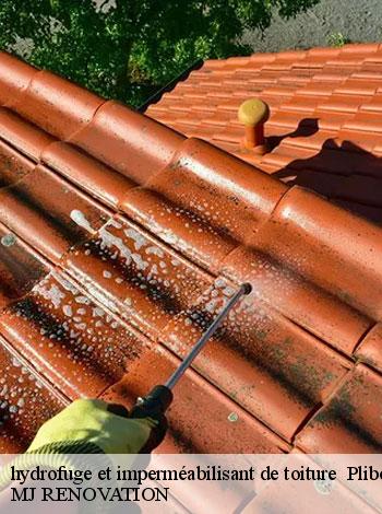 4556701-hydrofuge-et-impermeabilisant-de-toiture-mj-renovation-4