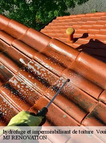 4556841-hydrofuge-et-impermeabilisant-de-toiture-mj-renovation-4