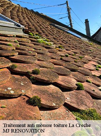 4556893-traitement-anti-mousse-toiture-mj-renovation-4