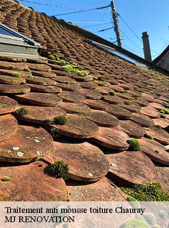 4556926-traitement-anti-mousse-toiture-mj-renovation-4