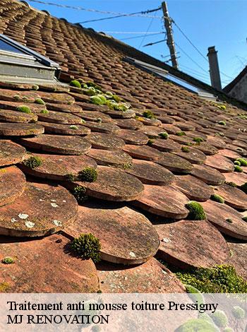 4557061-traitement-anti-mousse-toiture-mj-renovation-4