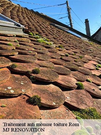 4557072-traitement-anti-mousse-toiture-mj-renovation-4