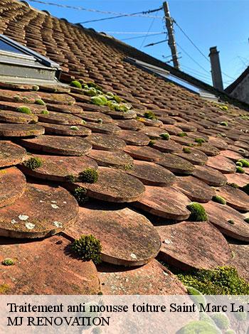 4557112-traitement-anti-mousse-toiture-mj-renovation-4