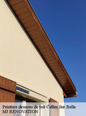 4557971-peinture-dessous-de-toit-mj-renovation-4