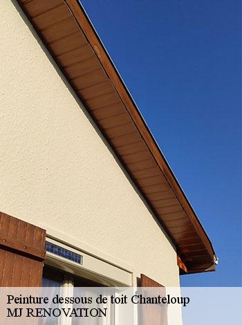 4557979-peinture-dessous-de-toit-mj-renovation-4
