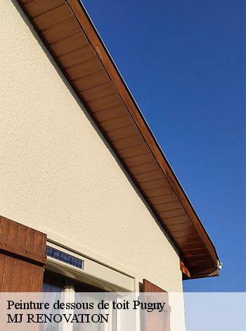 4558130-peinture-dessous-de-toit-mj-renovation-4