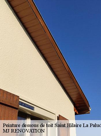 4558164-peinture-dessous-de-toit-mj-renovation-4