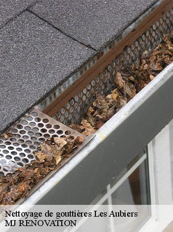 4558281-nettoyage-de-gouttieres-mj-renovation-4