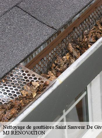4558555-nettoyage-de-gouttieres-mj-renovation-4