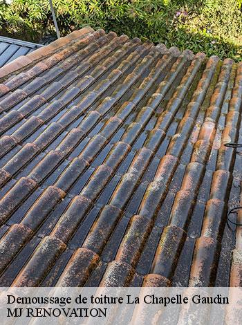 4558691-demoussage-de-toiture-mj-renovation-4