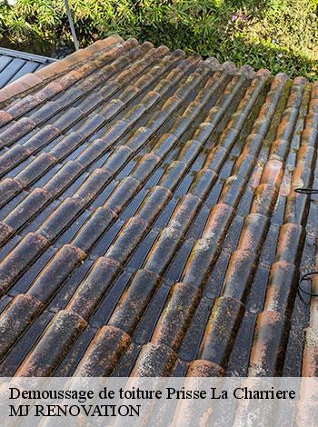 4558697-demoussage-de-toiture-mj-renovation-4