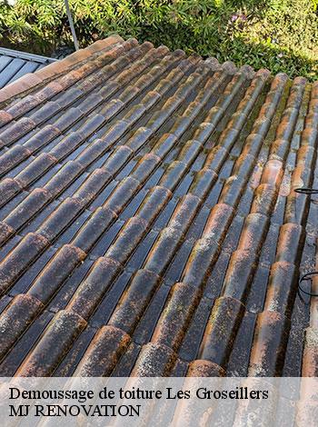 4558757-demoussage-de-toiture-mj-renovation-4