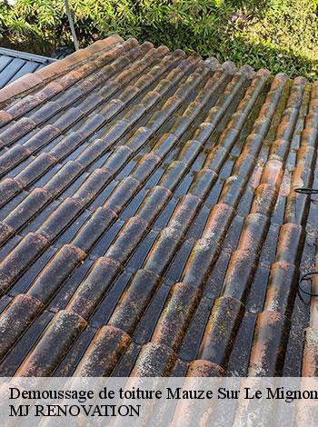 4558788-demoussage-de-toiture-mj-renovation-4